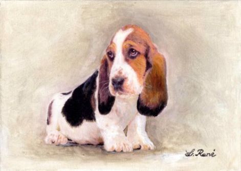 basset_hound_kiskutya.jpg